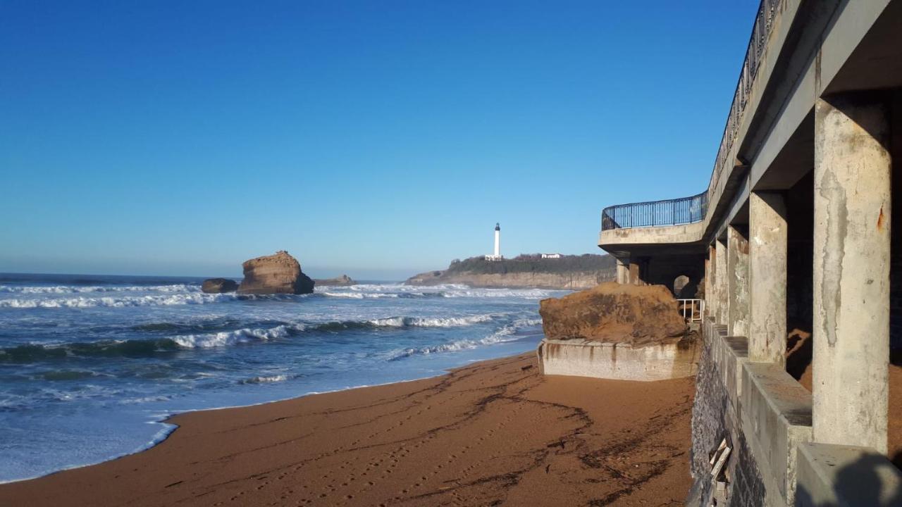 Studio Et Piscine Sur La Grande Plage Биариц Екстериор снимка