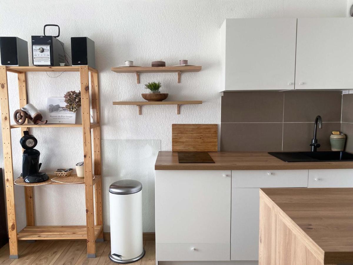 Studio Et Piscine Sur La Grande Plage Биариц Екстериор снимка